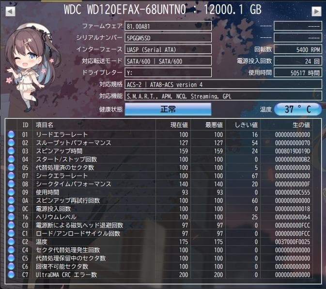 WD Red 12TB NAS用HDD WDC WD120EFAX