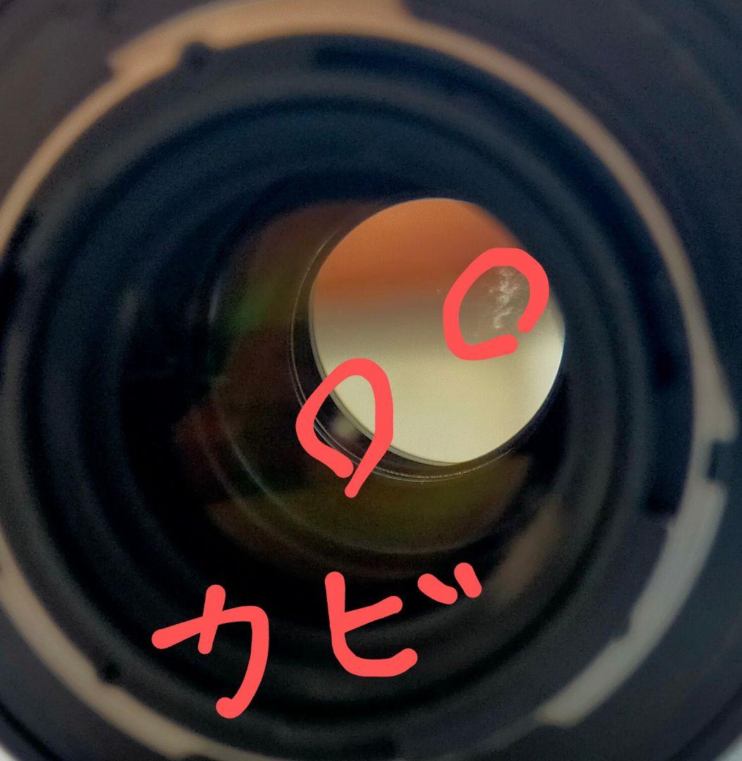 2本のCarl Zeiss【28-85/40-80のvario-sonnar】