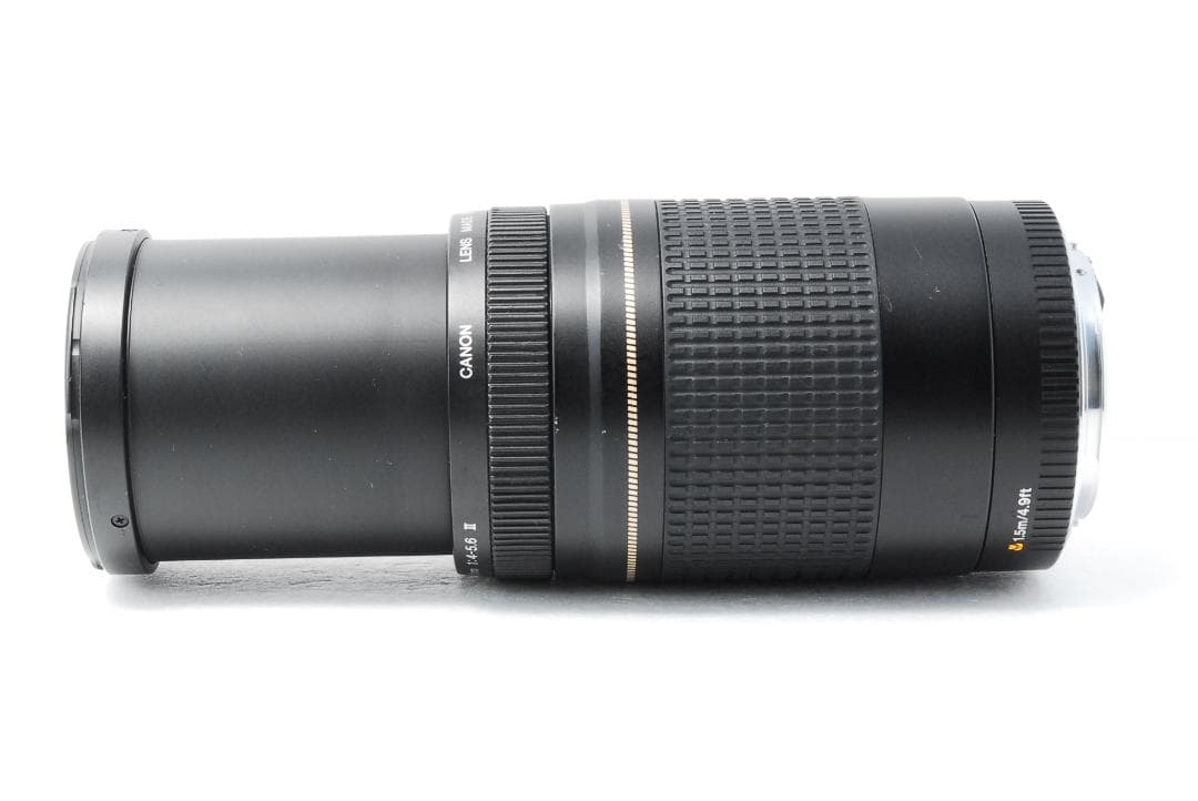 ✨美品✨ Canon キヤノン EF 75-300mm Ⅱ USM 望遠レンズ