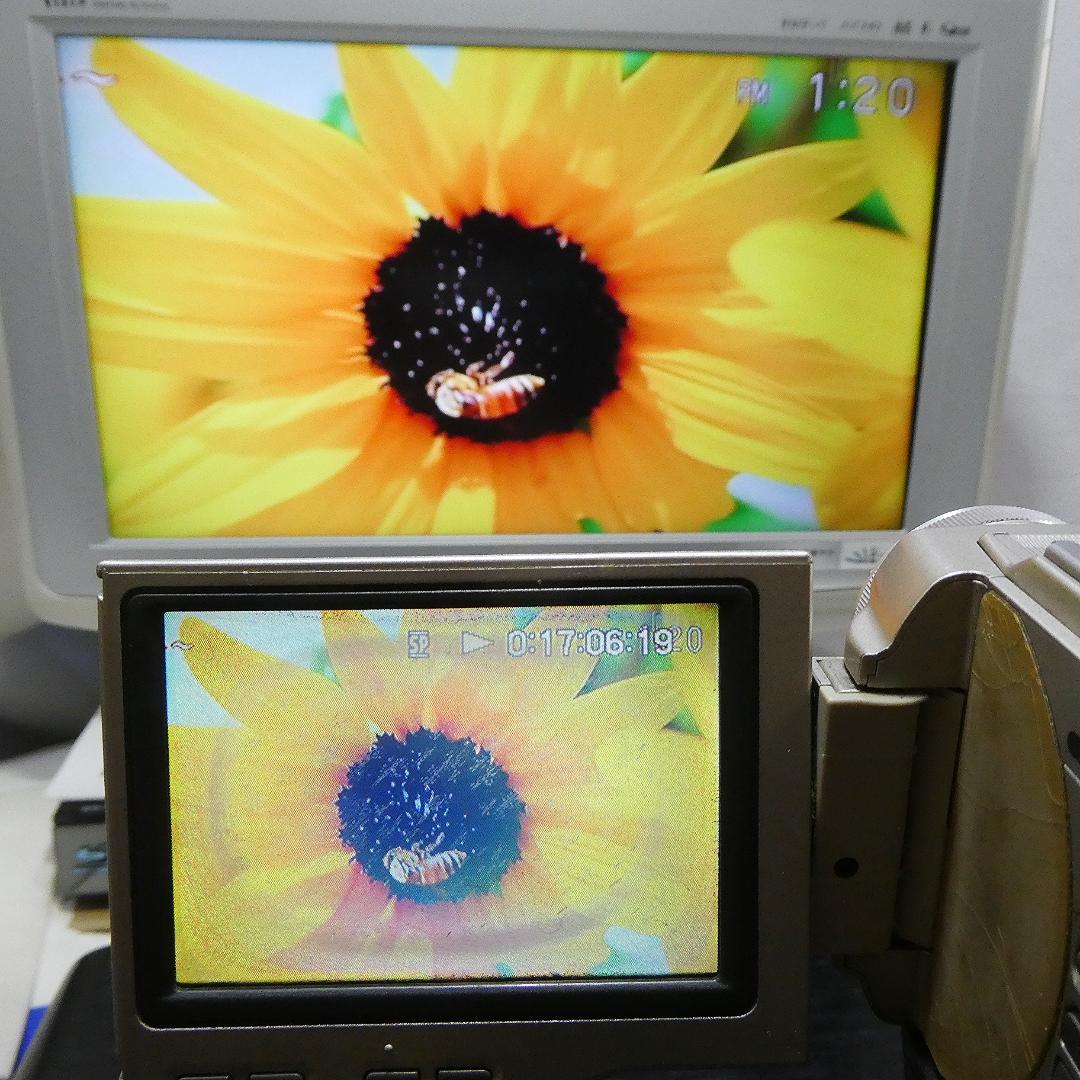 動作品 ソニー DCR-TRV10 MiniDVビデオカメラ　DVD化に最適