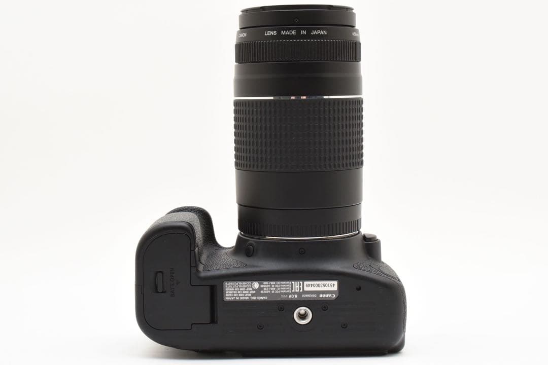 Canon EOS 6D Mark II レンズセット/Canon 75-300