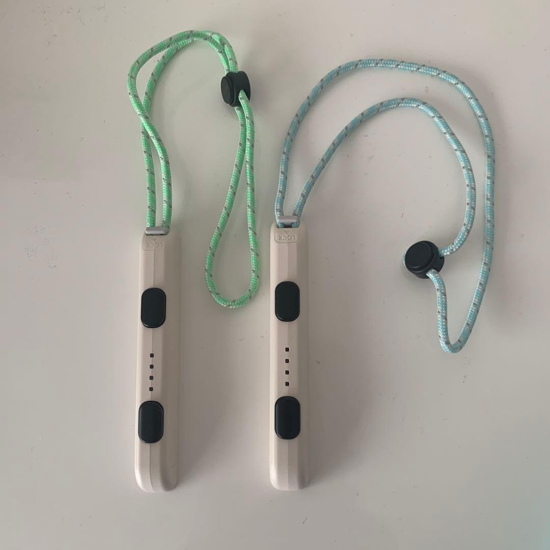 Nintendo Switch あつまれどうぶつの森セット