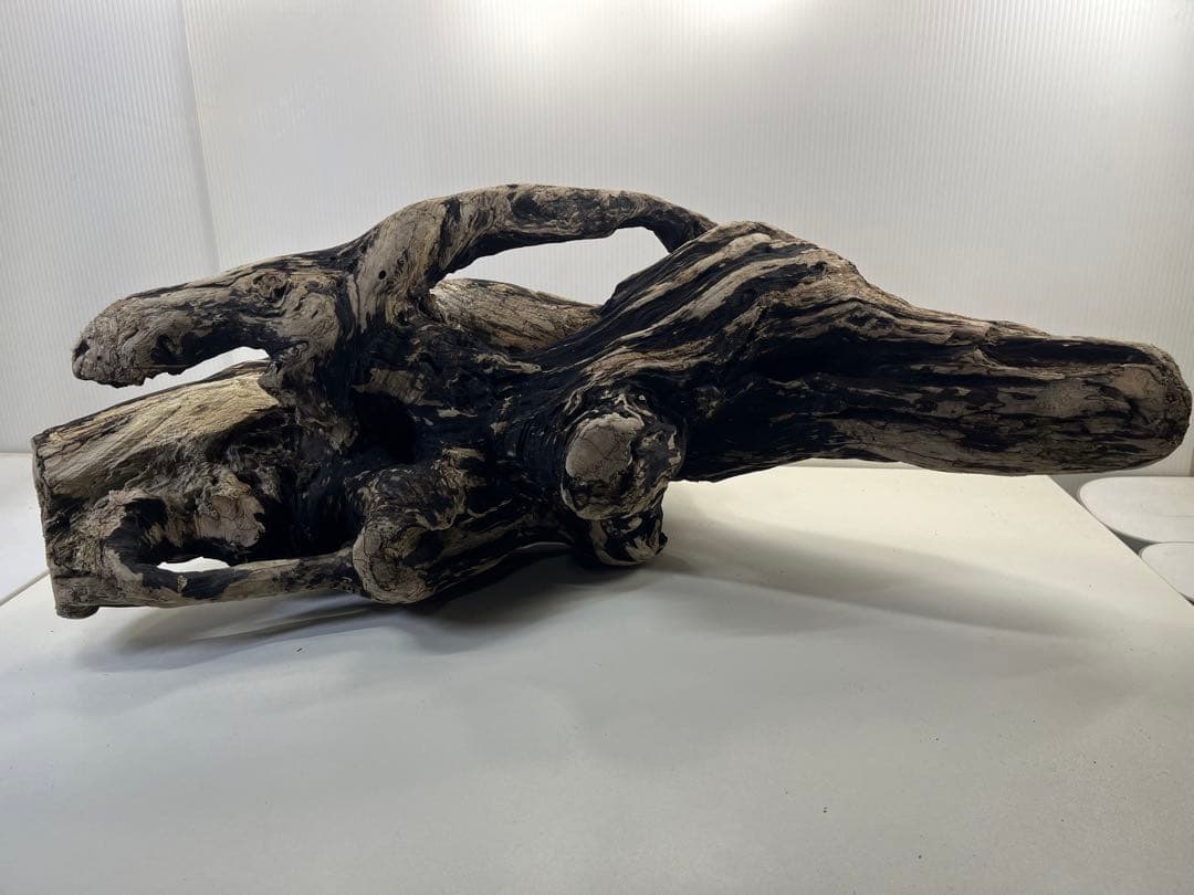 m46特大流木 大型流木 アク抜き済み 爬虫類シェルター レイアウト用 隠れ家