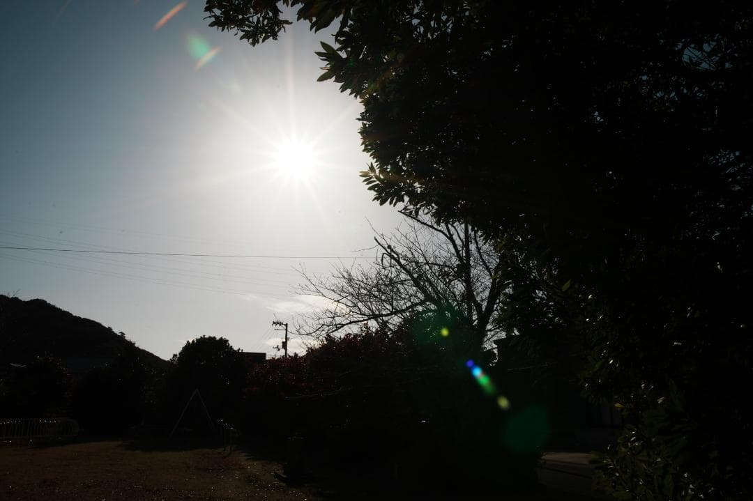 【コスパ最高大三元】タムロン 28-75mm F2.8 ニコン F 012