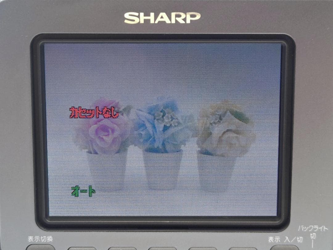 8mmテープのダビングに！ SHARP ビデオカメラ VL-HL50 2