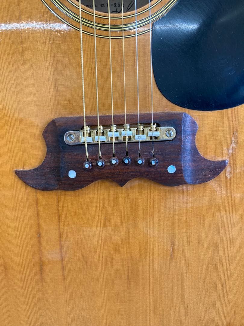 【希少】thumb W-250 (寺田楽器製・70年代ジャパンヴィンテージ)