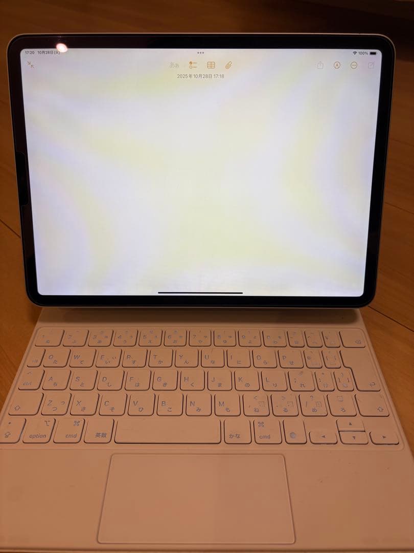 iPad pro 11(第一世代)