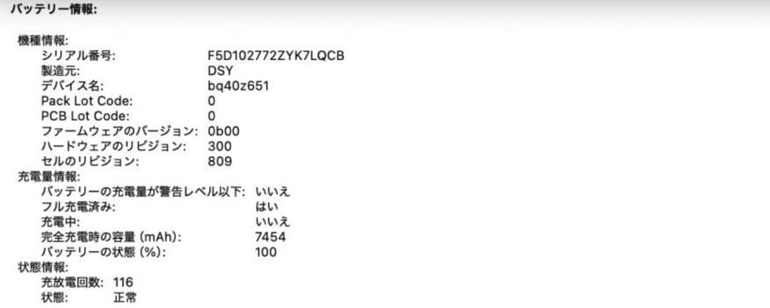 【バッタリー良好美品】MacBook Pro2019 i9 16inchインチ