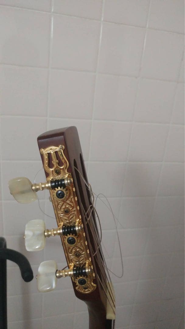 ANBOY REG20N ミニ アコースティックギター クラシック ガット 軽量