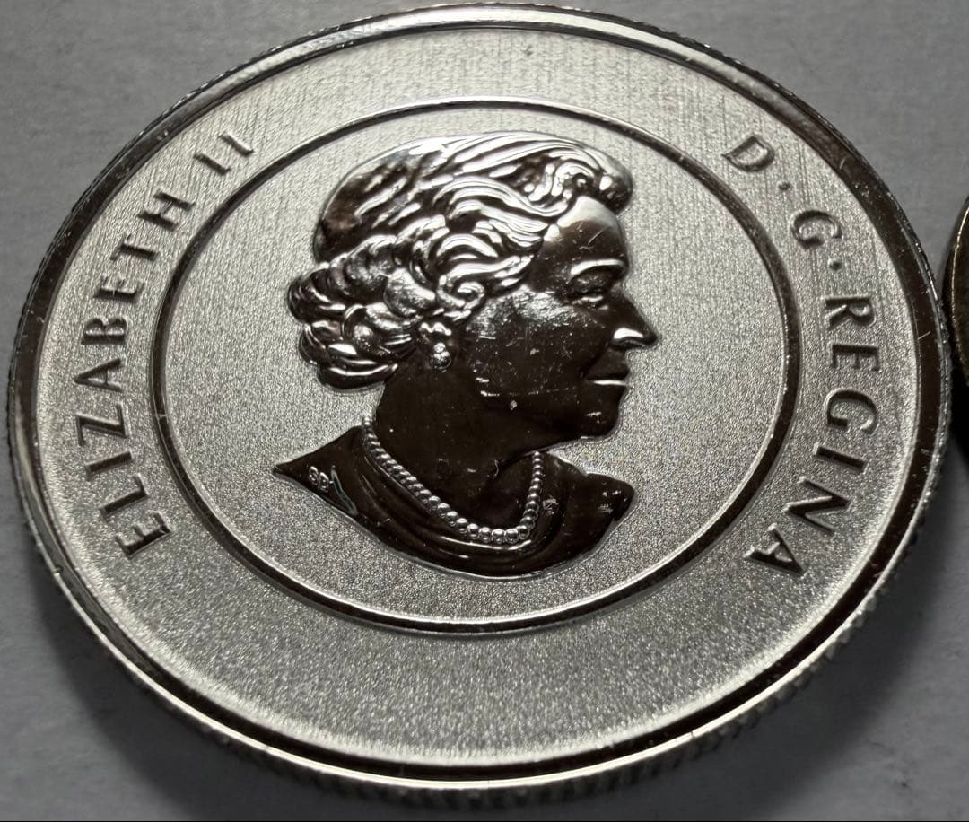 カ*中様 2013年 カナダ 20ドル プルーフ銀貨　エリザベス2世