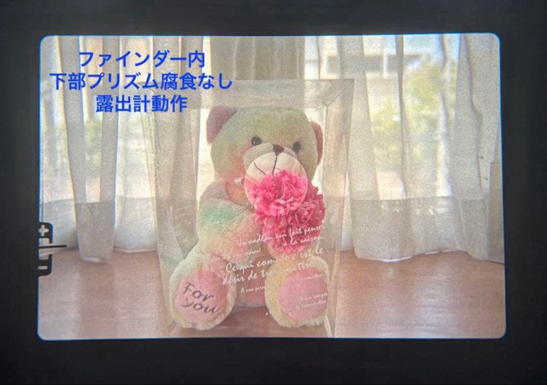 ★ OLYMPUS OM-1 + ★ 広角レンズ 28mm/ 2倍テレプラス