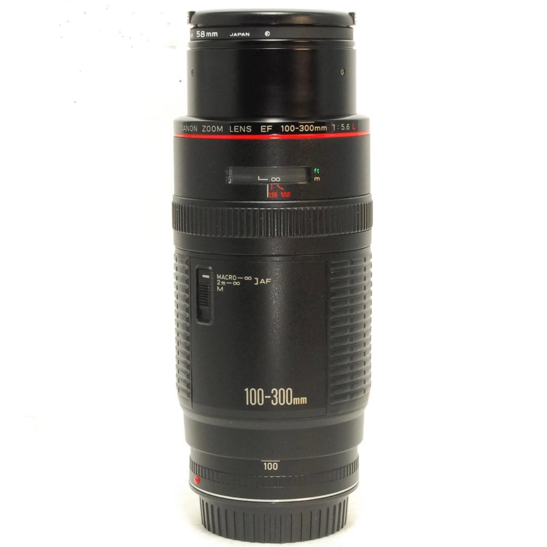 Canon EF 100-300mm F5.6L❤️望遠レンズ キヤノン 一眼レフ