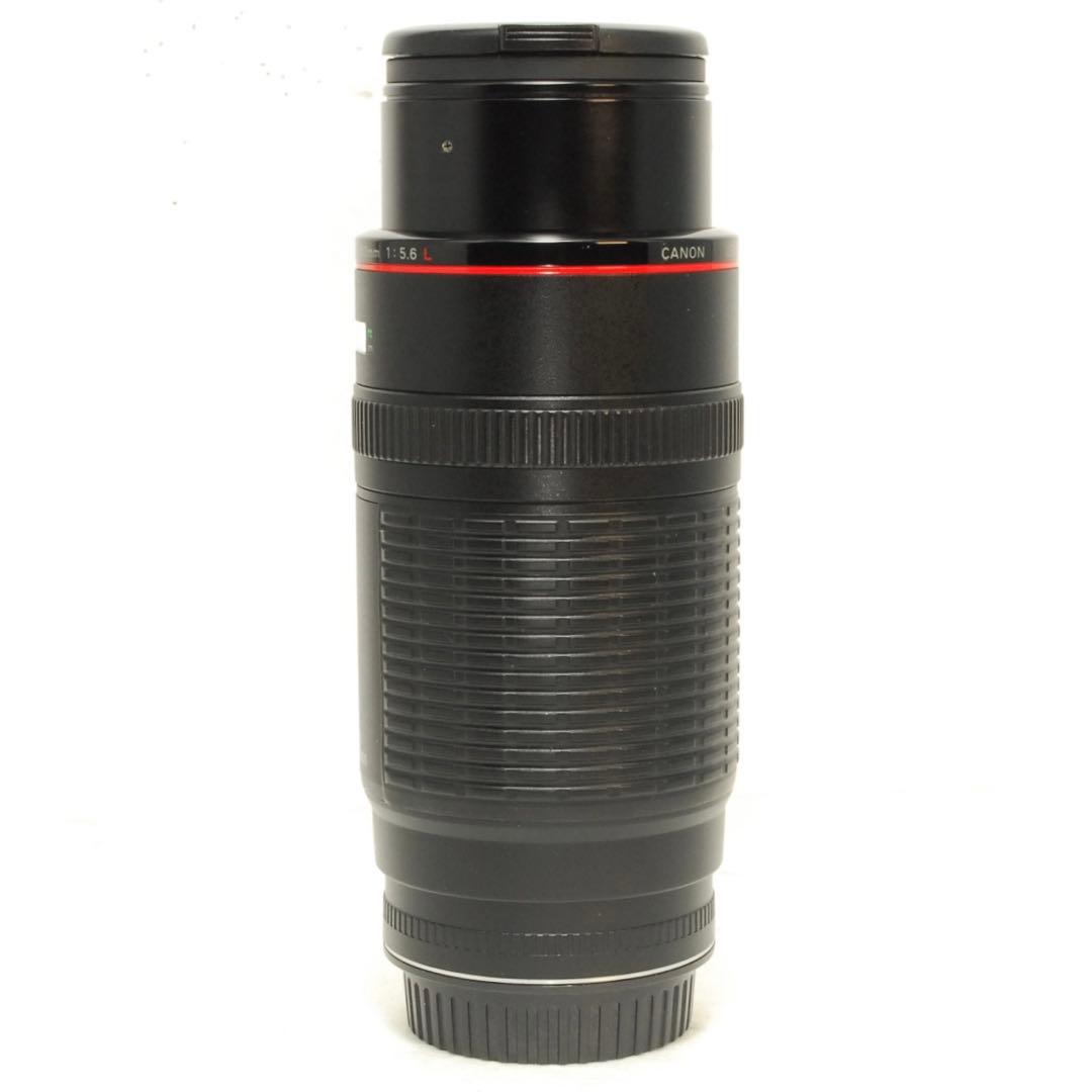 Canon EF 100-300mm F5.6L❤️望遠レンズ キヤノン 一眼レフ