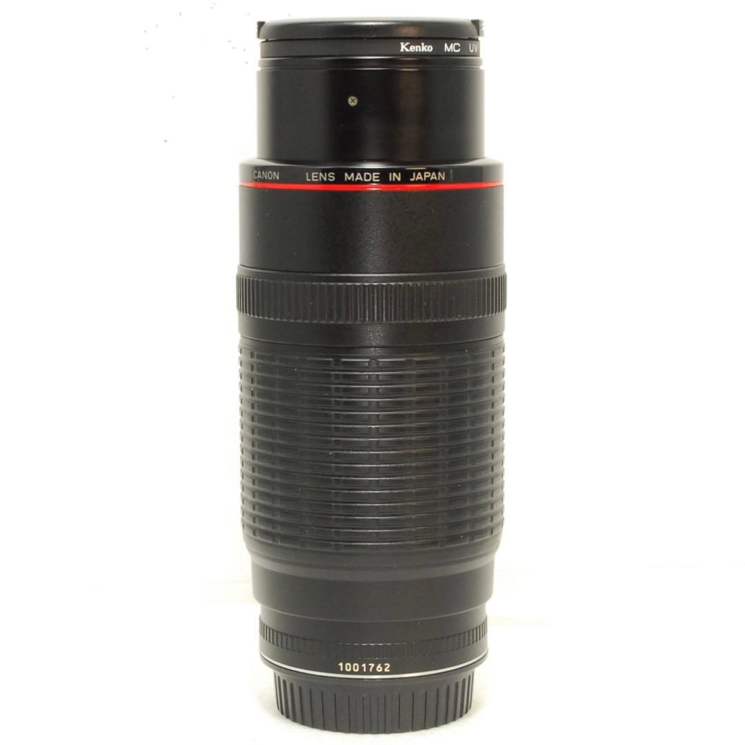 Canon EF 100-300mm F5.6L❤️望遠レンズ キヤノン 一眼レフ
