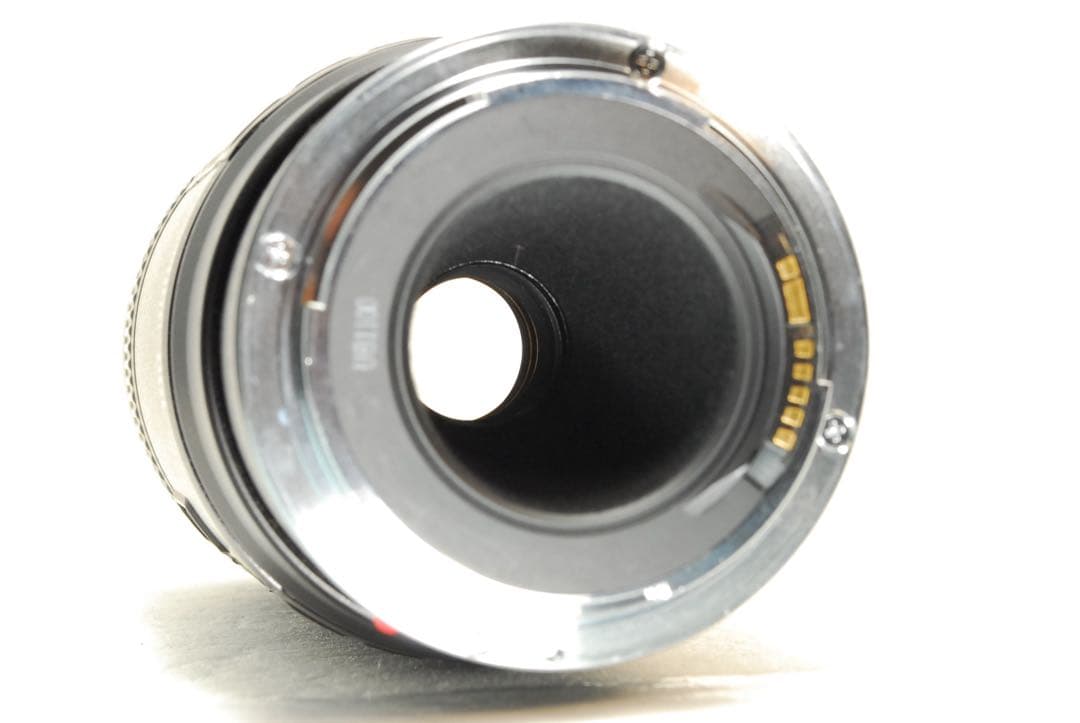 Canon EF 100-300mm F5.6L❤️望遠レンズ キヤノン 一眼レフ