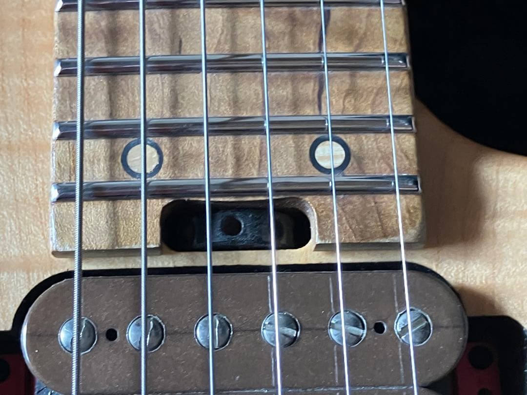 ギター Guthrie Govan Signature Flame Maple