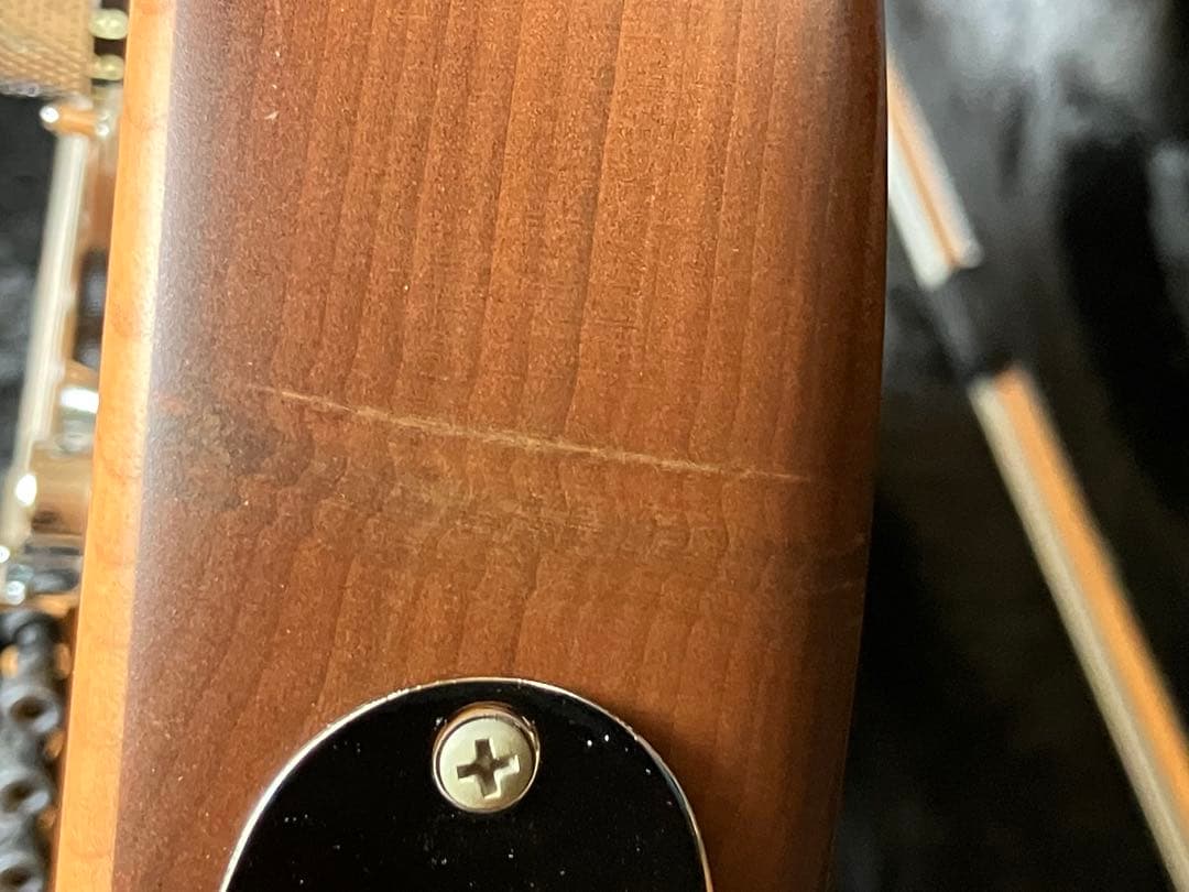 ギター Guthrie Govan Signature Flame Maple