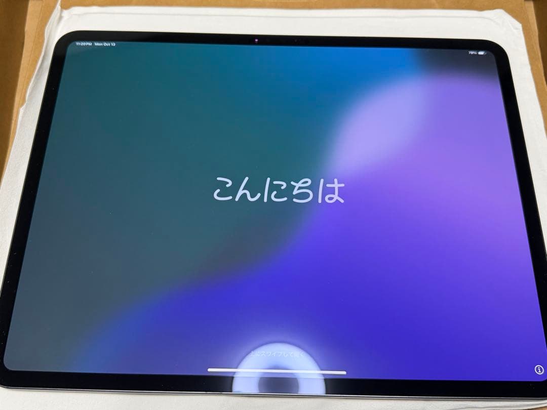 美品 iPad Pro M4 13インチ 512GB Wi-Fiモデル