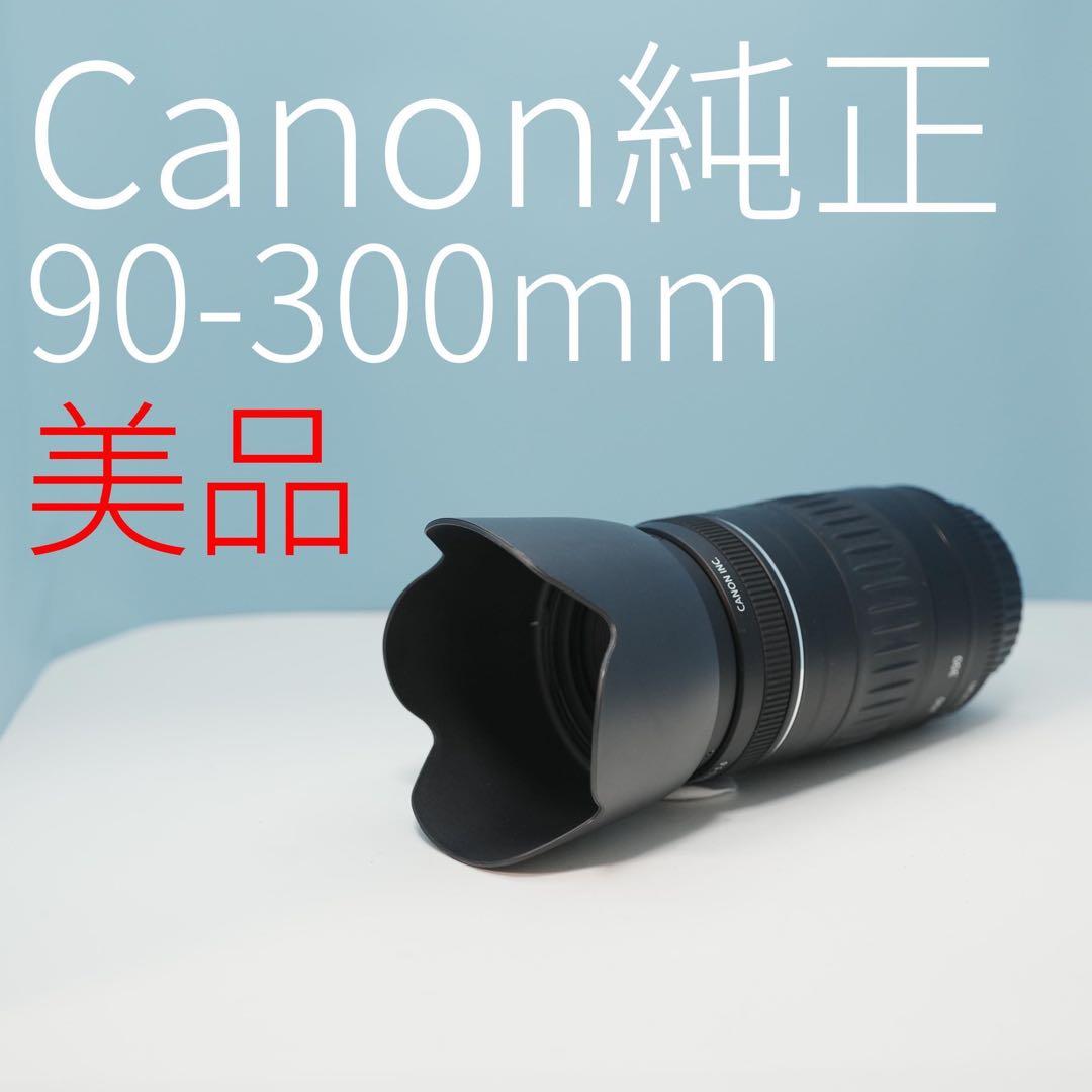 Canon純正 90-300mm 望遠レンズ 美品 a3749