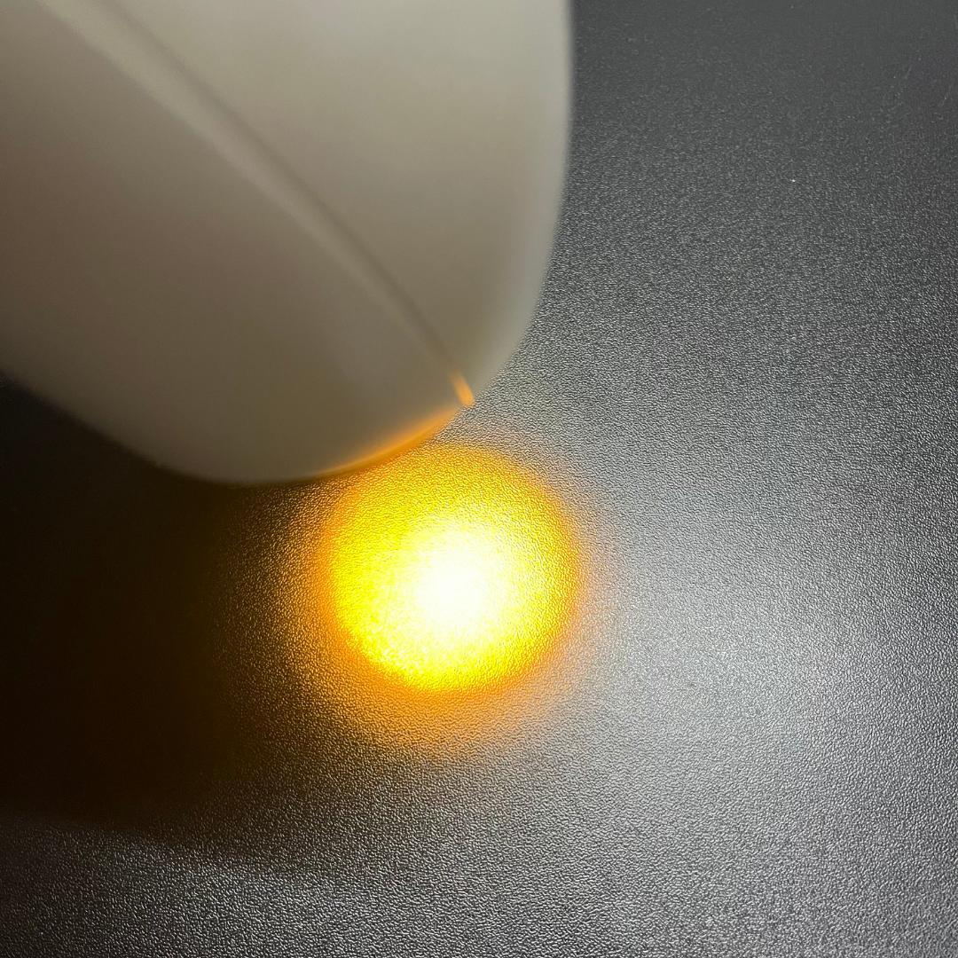 バイオプトロン コンパクト 美顔器 BIOPTRON compact