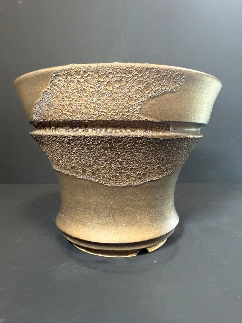 Wild Heaven 高級 陶器鉢 作家鉢 アガベ 塊根植物 観葉植物 A