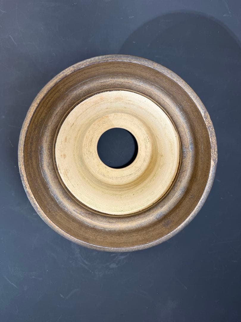 Wild Heaven 高級 陶器鉢 作家鉢 アガベ 塊根植物 観葉植物 A