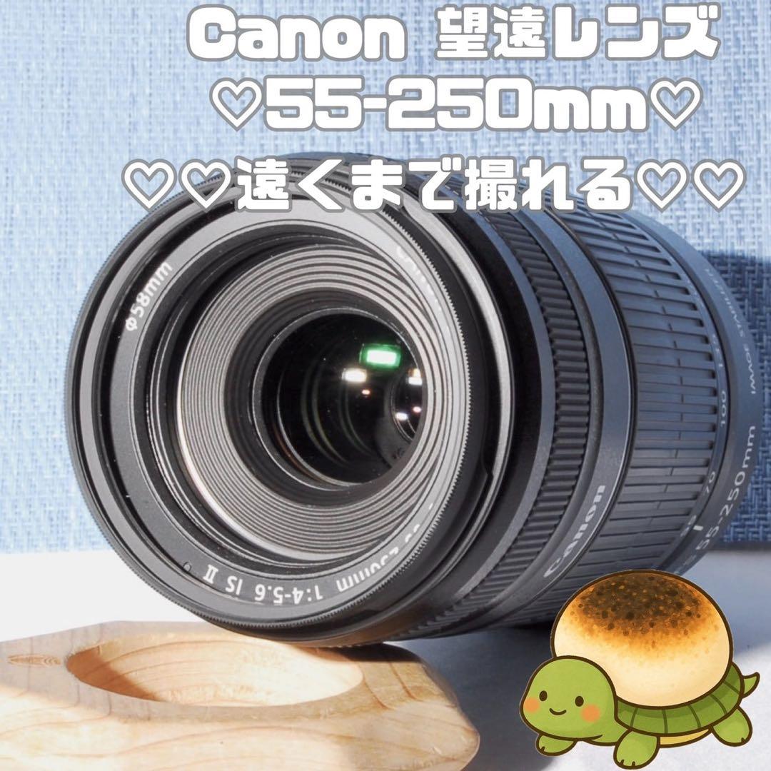 ⭐️超美品‼⭐️ キャノン EF-S 55-250mm 4-5.6 ISⅡ
