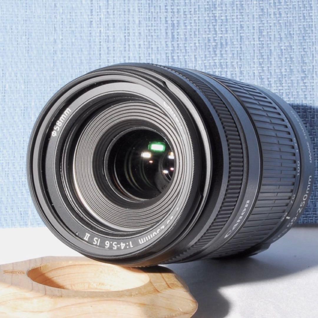 ⭐️超美品‼⭐️ キャノン EF-S 55-250mm 4-5.6 ISⅡ