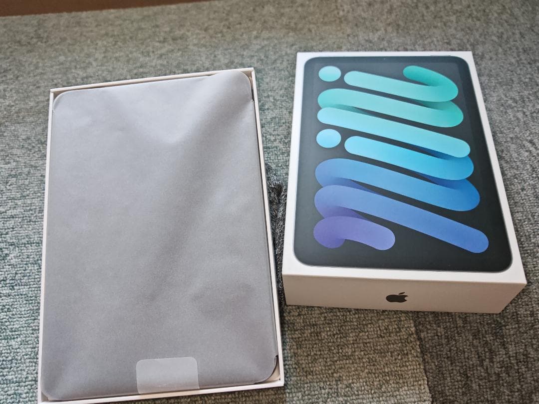 新同品／送料込 iPad mini6 Cellular 256GB サービス品有