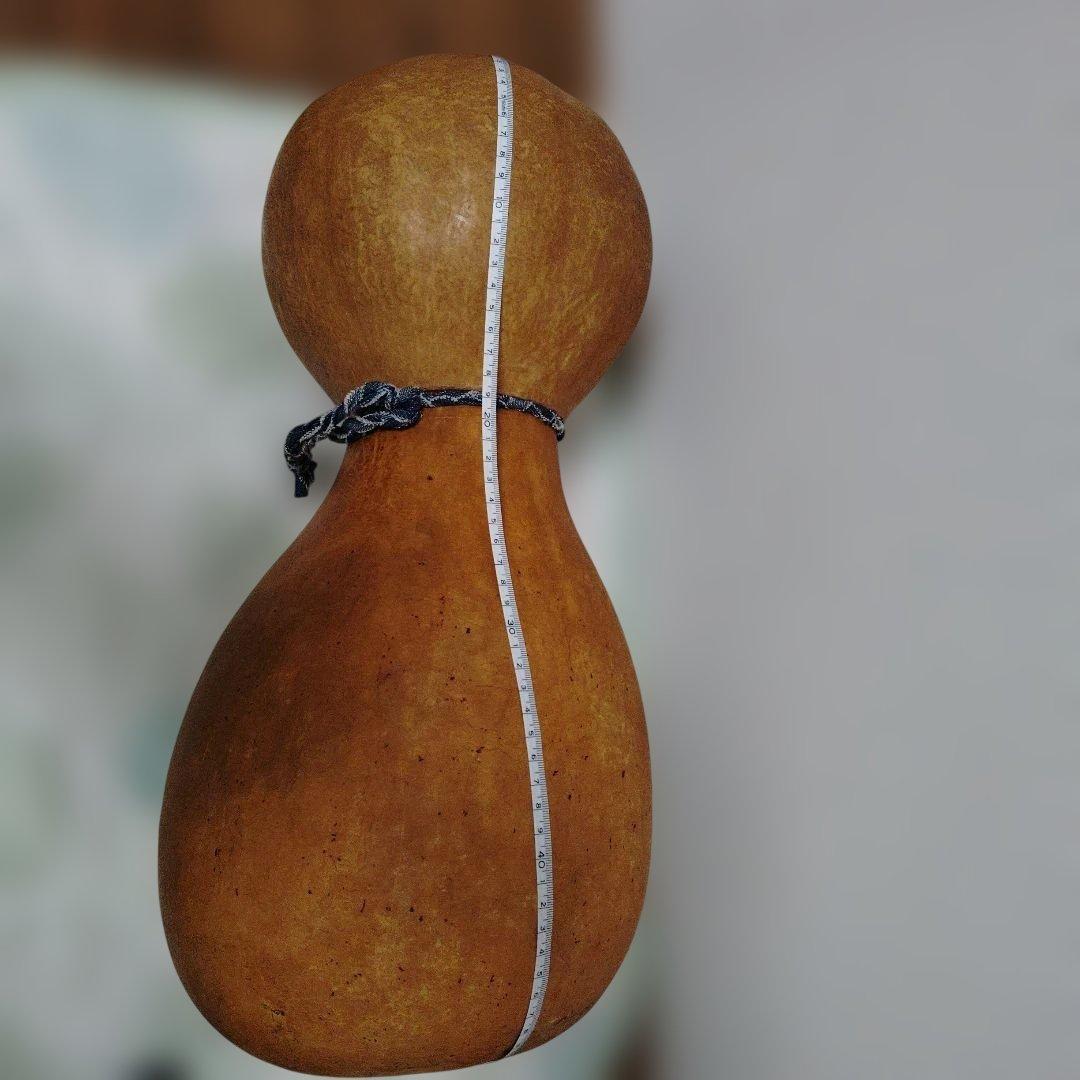 自立・イプヘケ高さ約50センチ①