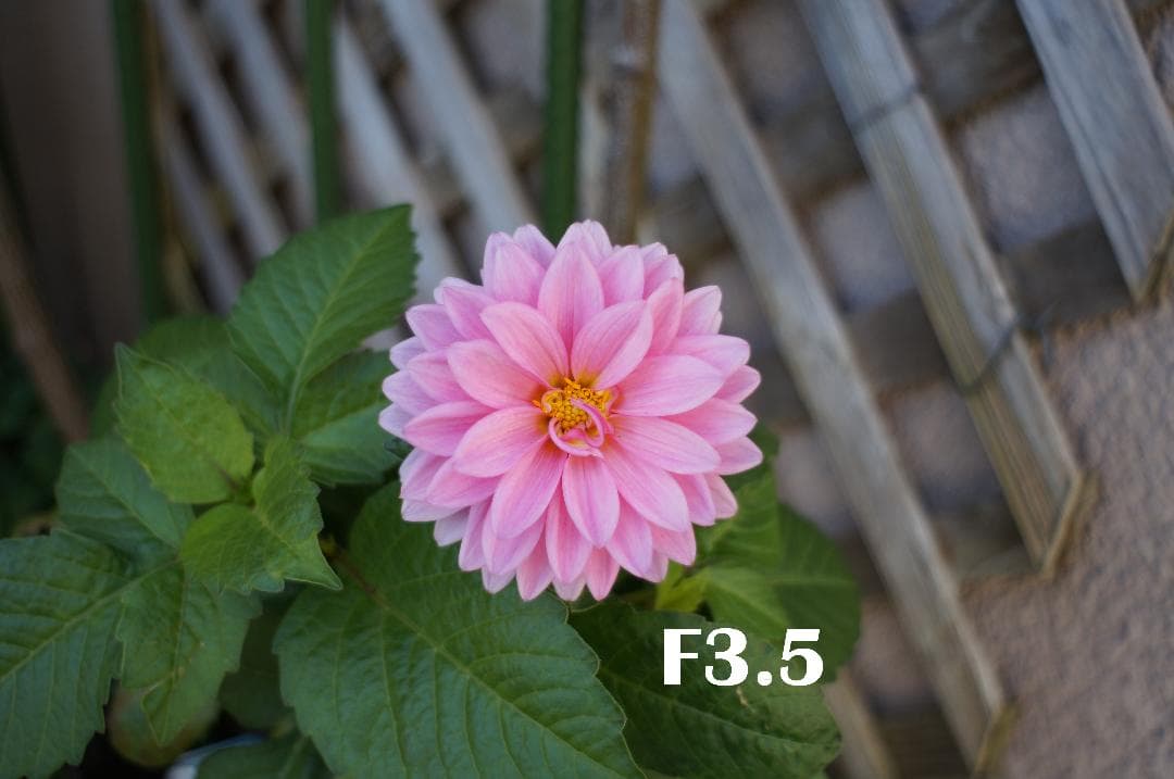 1979096　前期型ファットモデル　Super-Takumar　F3.5/28