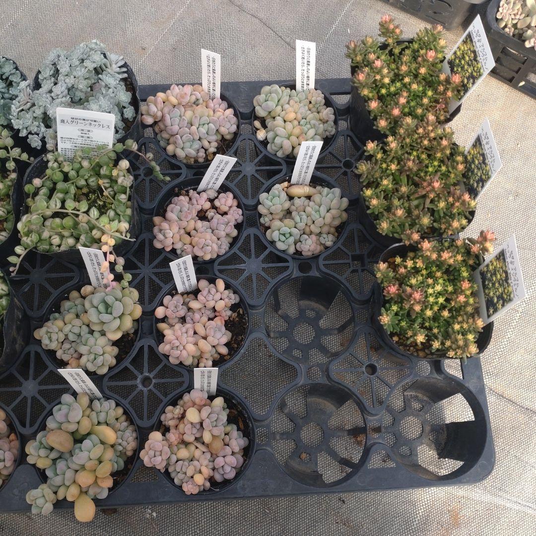 choco...∞さん専用