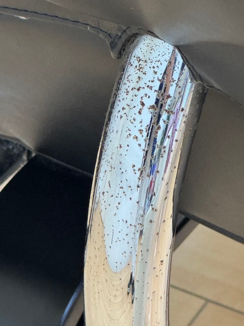 ショーン　TAKARABELMONTタカラベルモント CALMEカルム