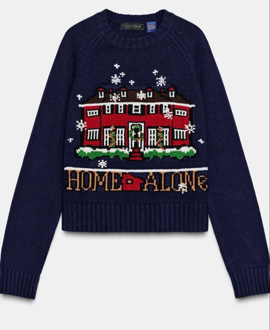 ZARA ホームアローンニット