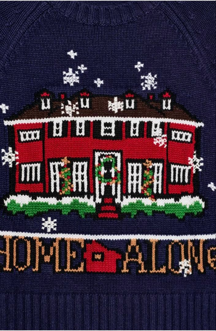 ZARA ホームアローンニット