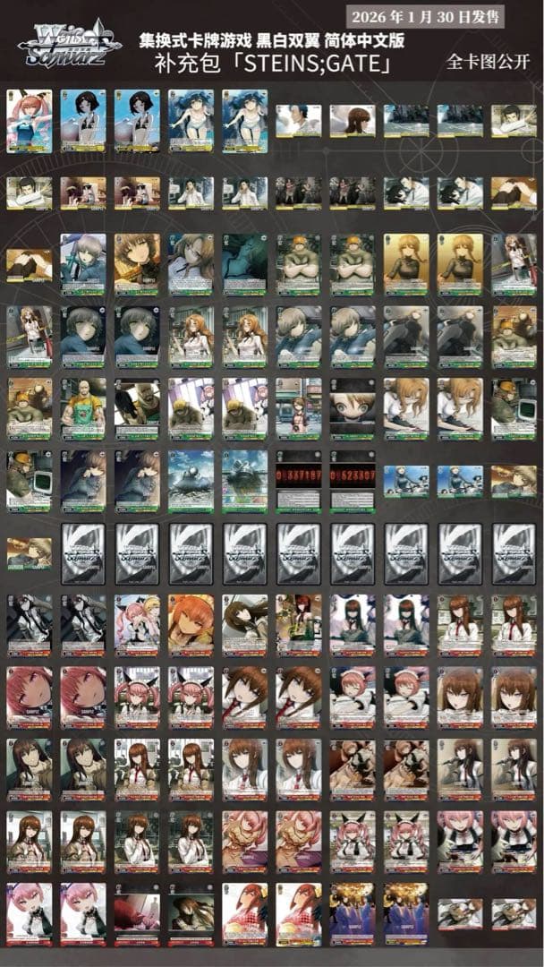 ヴァイス STEINS;GATE 中国版 簡体中文 1カートン