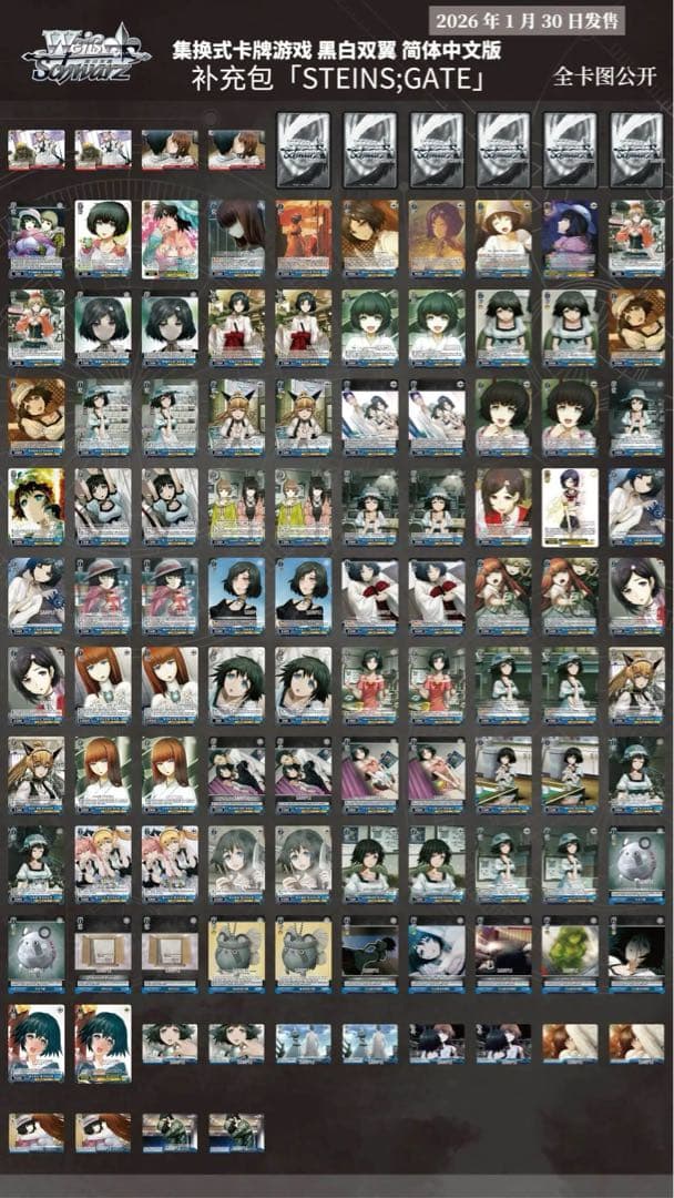 ヴァイス STEINS;GATE 中国版 簡体中文 1カートン