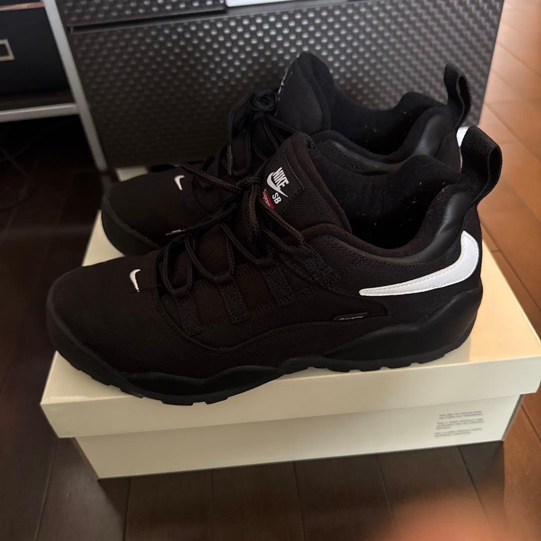 Supreme × Nike SB Darwin Low \