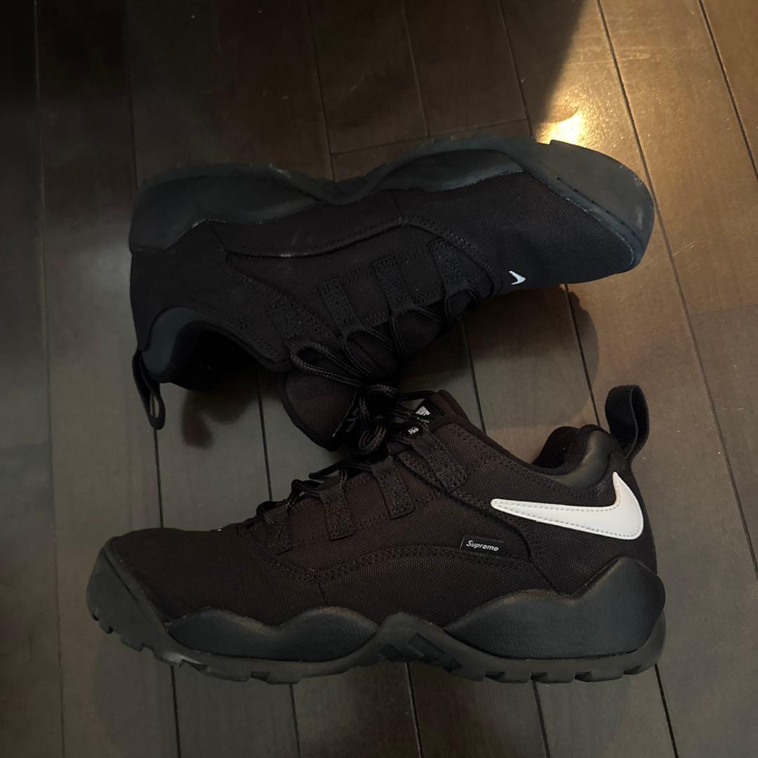 Supreme × Nike SB Darwin Low \"Black 29.5