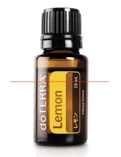 25日15時迄 【リピート ひまわり】Ms Gf 5 LnGn15 4点