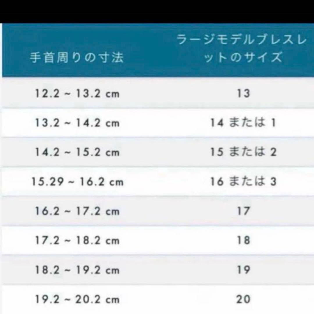 フレッド　Fred フォース10 オレンジ、イエロー、ブルー、白×黒　LM17