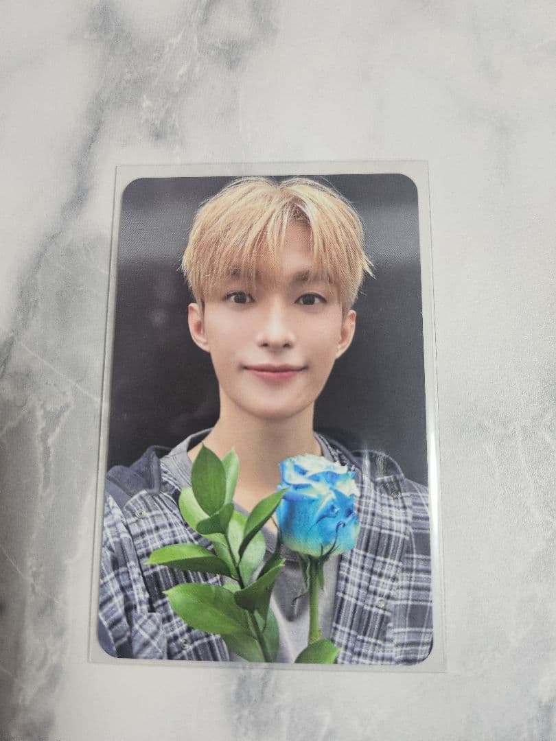 SEVENTEEN DXS サノク トレカ DK ドギョム