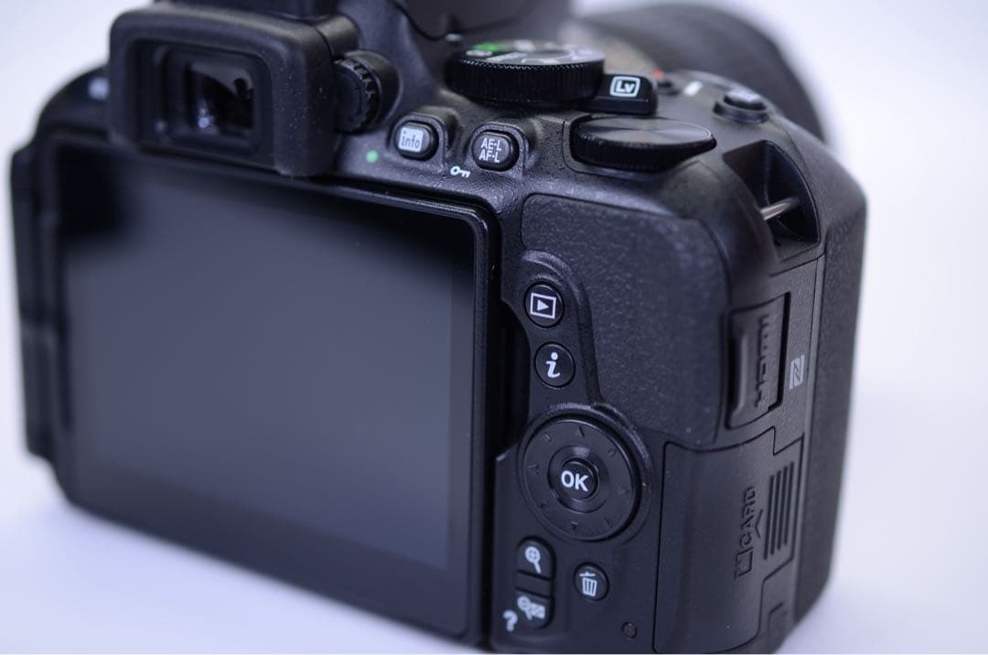 【ショット数極少 838枚！】 D5600 レンズセット／動作良好