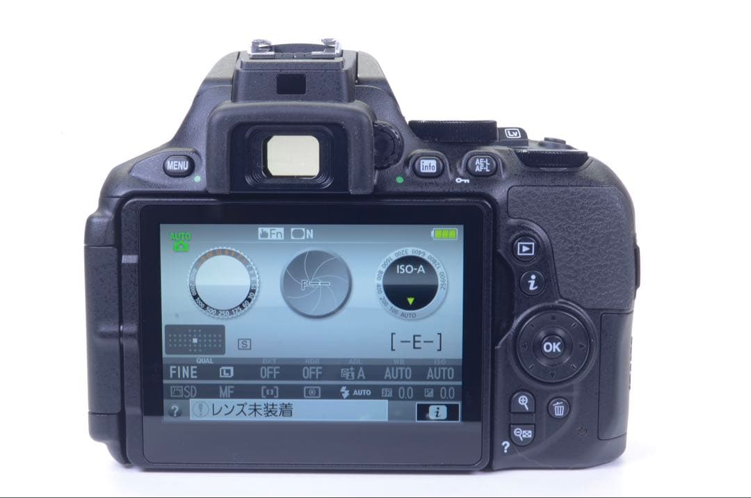 【ショット数極少 838枚！】 D5600 レンズセット／動作良好