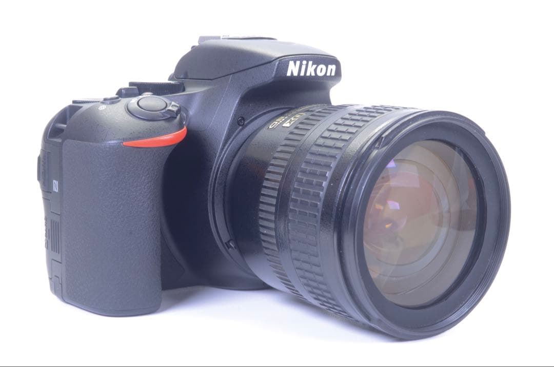 【ショット数極少 838枚！】 D5600 レンズセット／動作良好