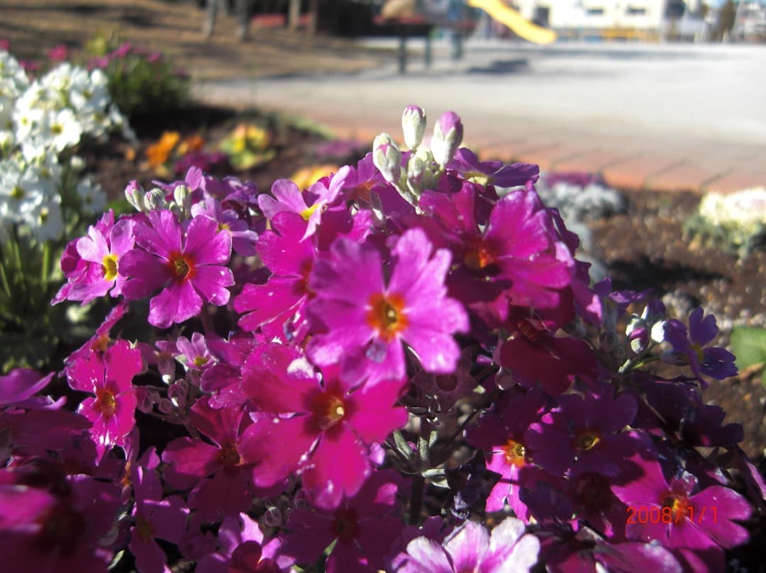 実写美⭕️良品【動作確認済】CASIO EXILIM EX-Z100 シルバー