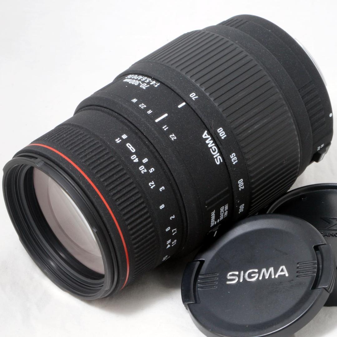 ★外観美品★SIGMA シグマ 70-300mm APO DG キヤノン用