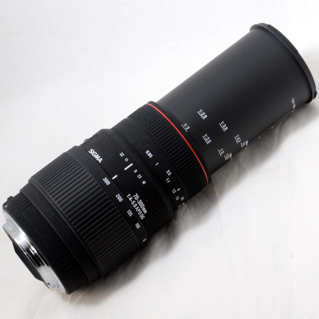 ★外観美品★SIGMA シグマ 70-300mm APO DG キヤノン用