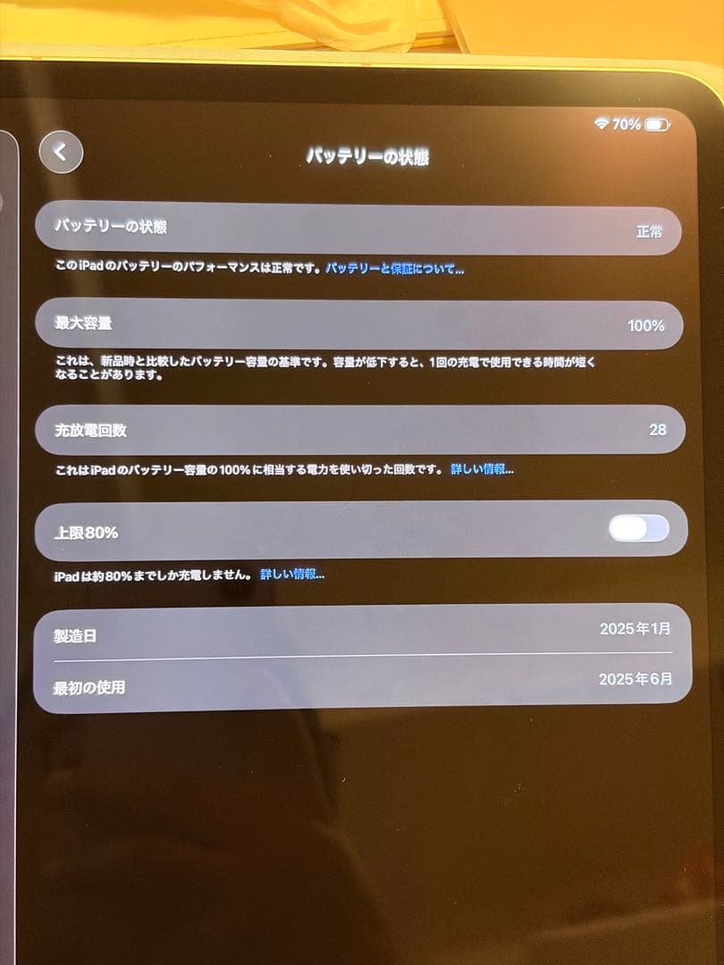 iPad Pro M4 13インチCellular 2TB applecare+