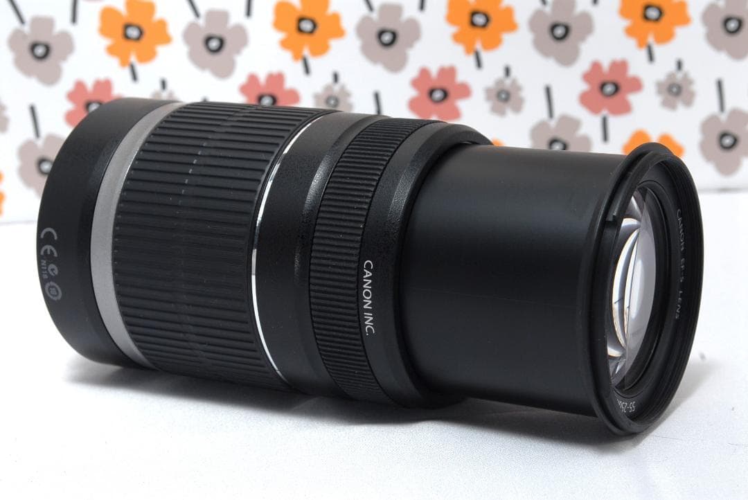 Canon❤EF-S 55-250mm IS❤レンズきれい❤手ぶれ補正付❤